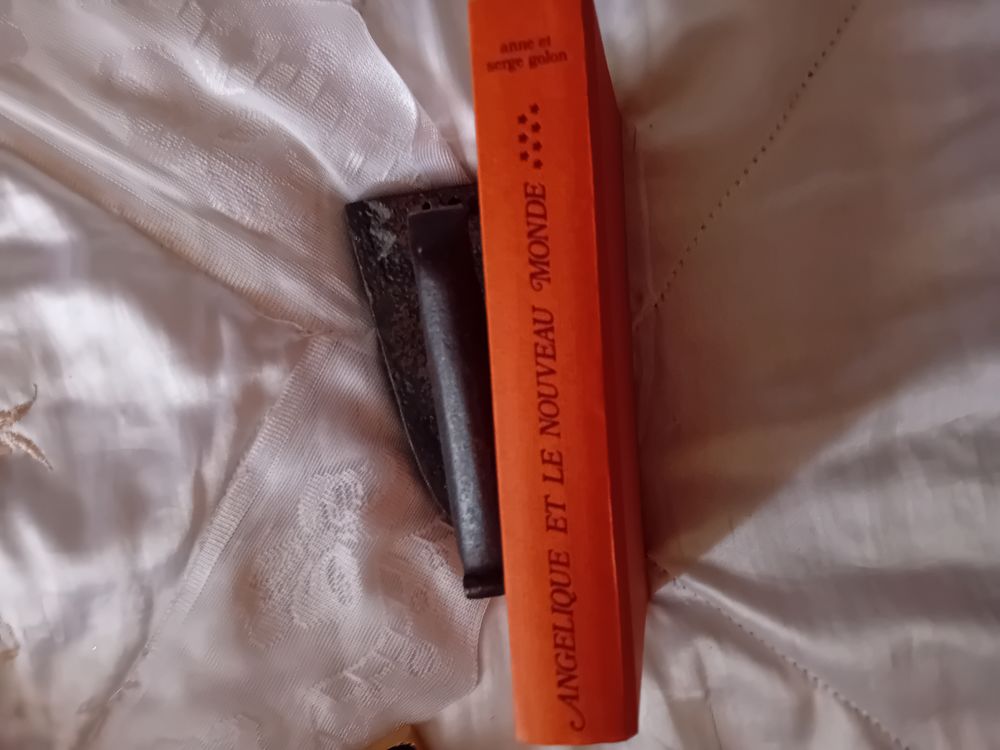 ROMAN ANNE ET SERGE GOLON 1977
3 Chaumont (52)