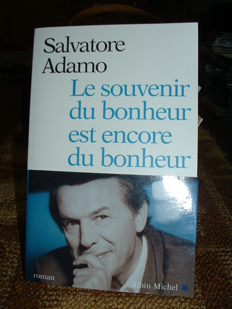 Roman broch� 3 Tocane-Saint-Apre (24)