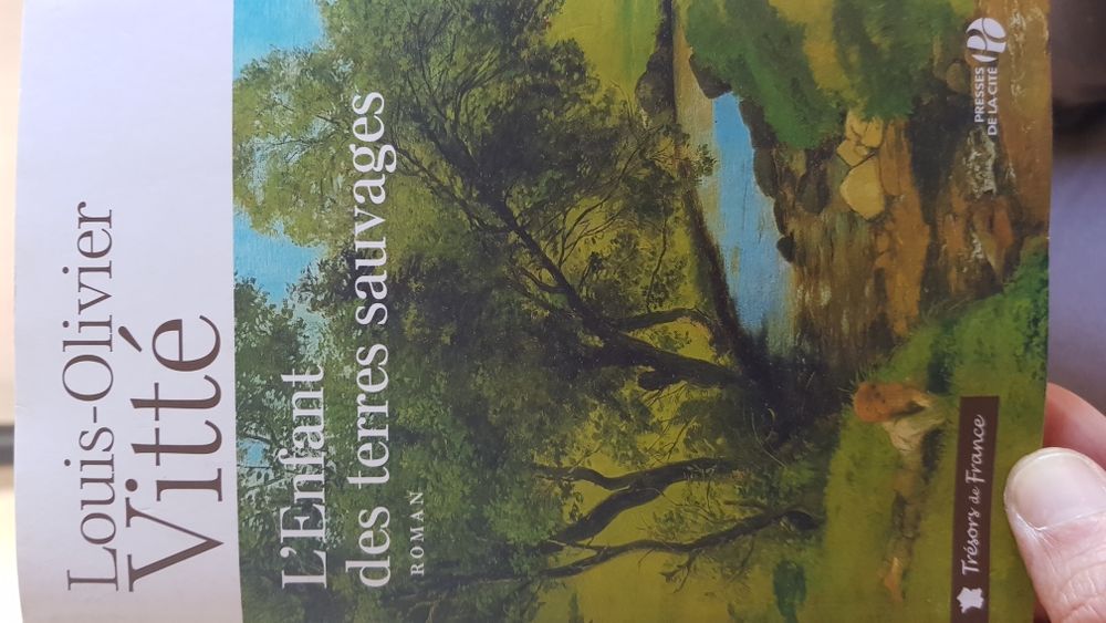 roman l'enfant des terres sauvages 6 Savignac-les-�glises (24)