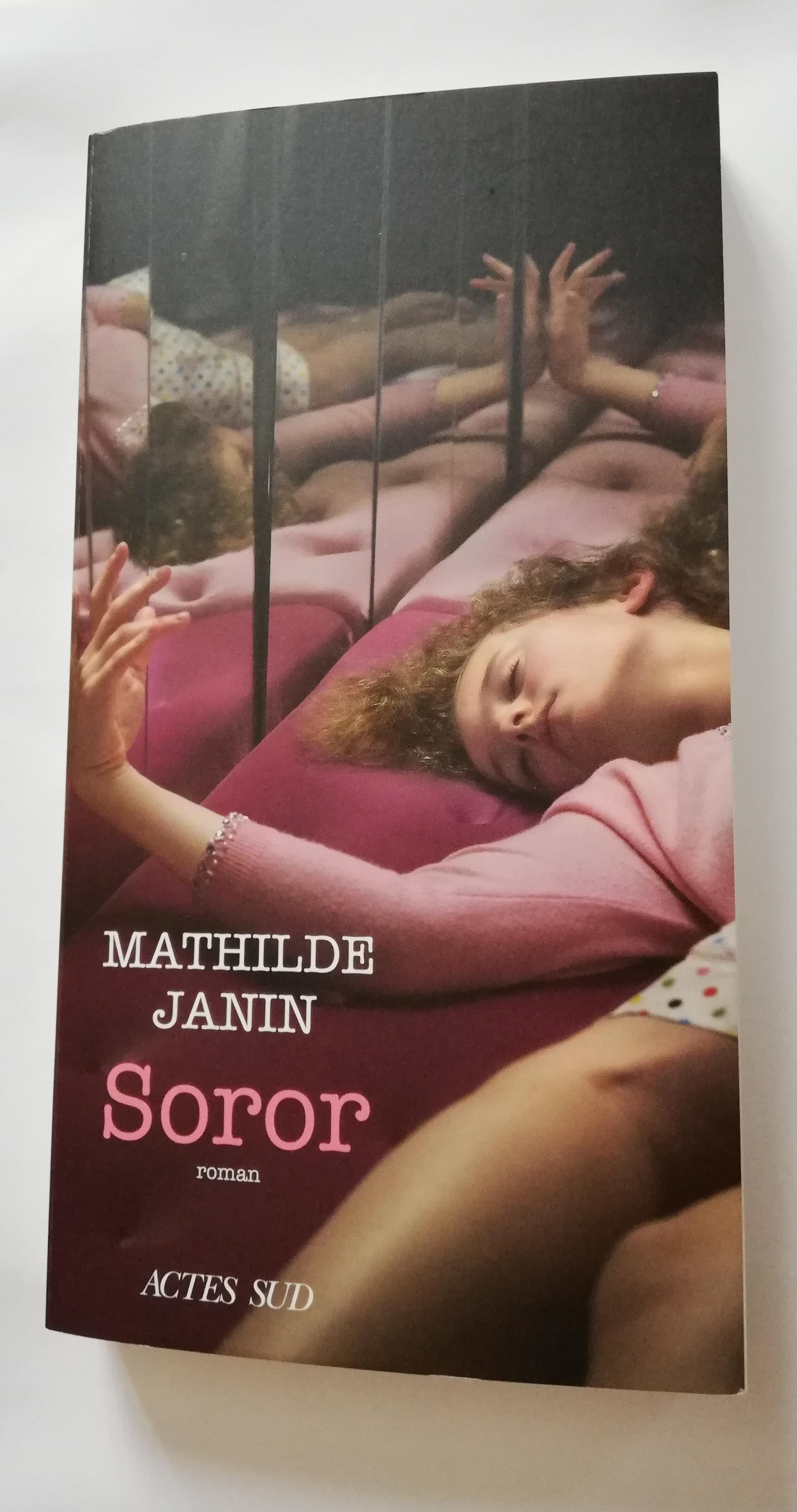 Roman  Soror  de Mathilde Janin. 8 Asnières-sur-Seine (92)