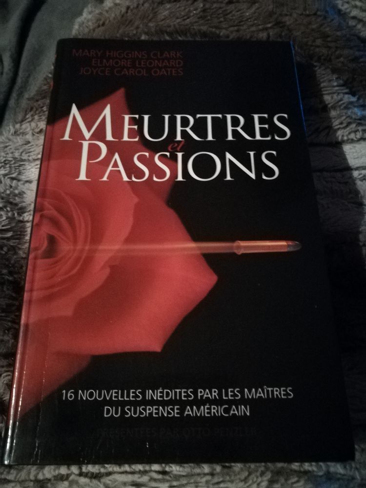 Roman 4 Vertaizon (63)