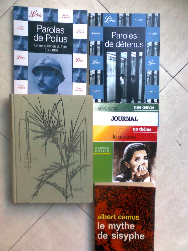 romans et classiques scolaires  - zoe 1 Martigues (13)