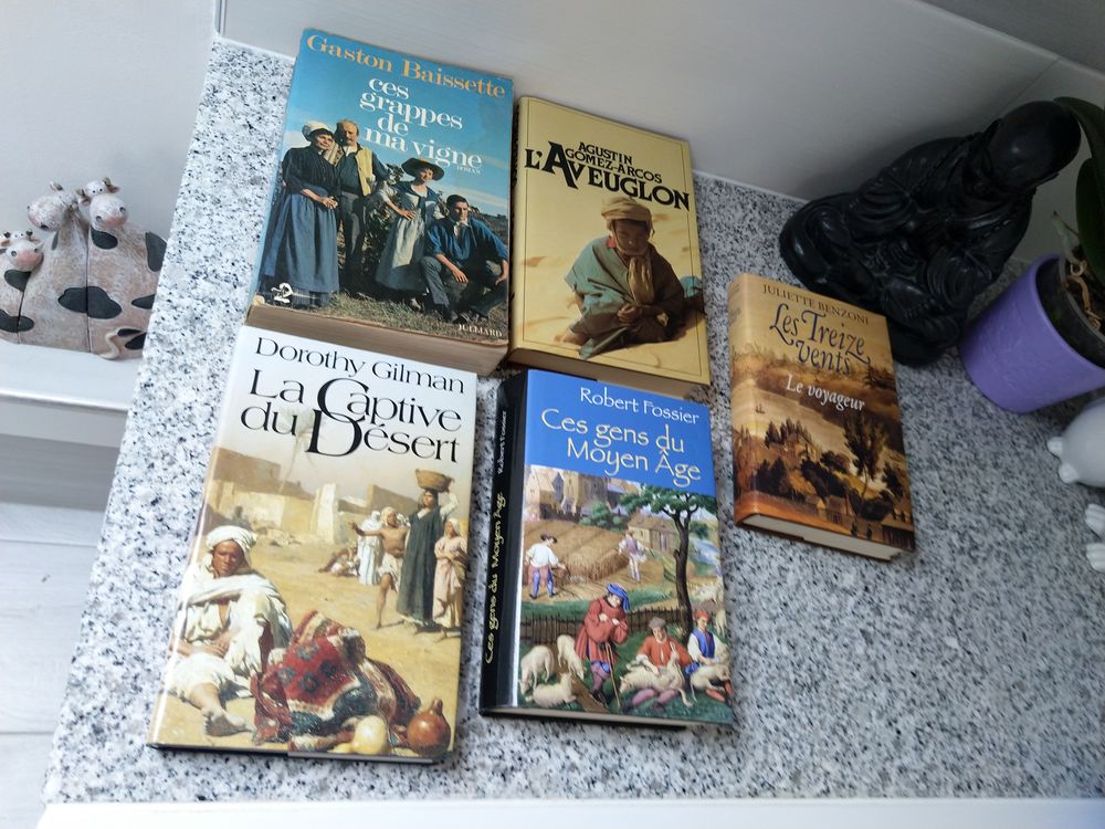 Romans divers
7 Melun (77)