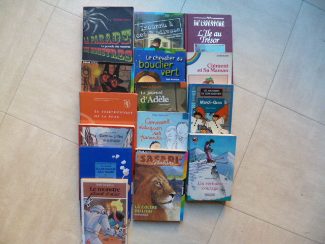 lot 1  romans pour JEUNES et ADO - zoe 1 Martigues (13)