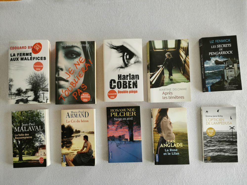 Lot de 10 romans r�cents 30 Bailleul (59)