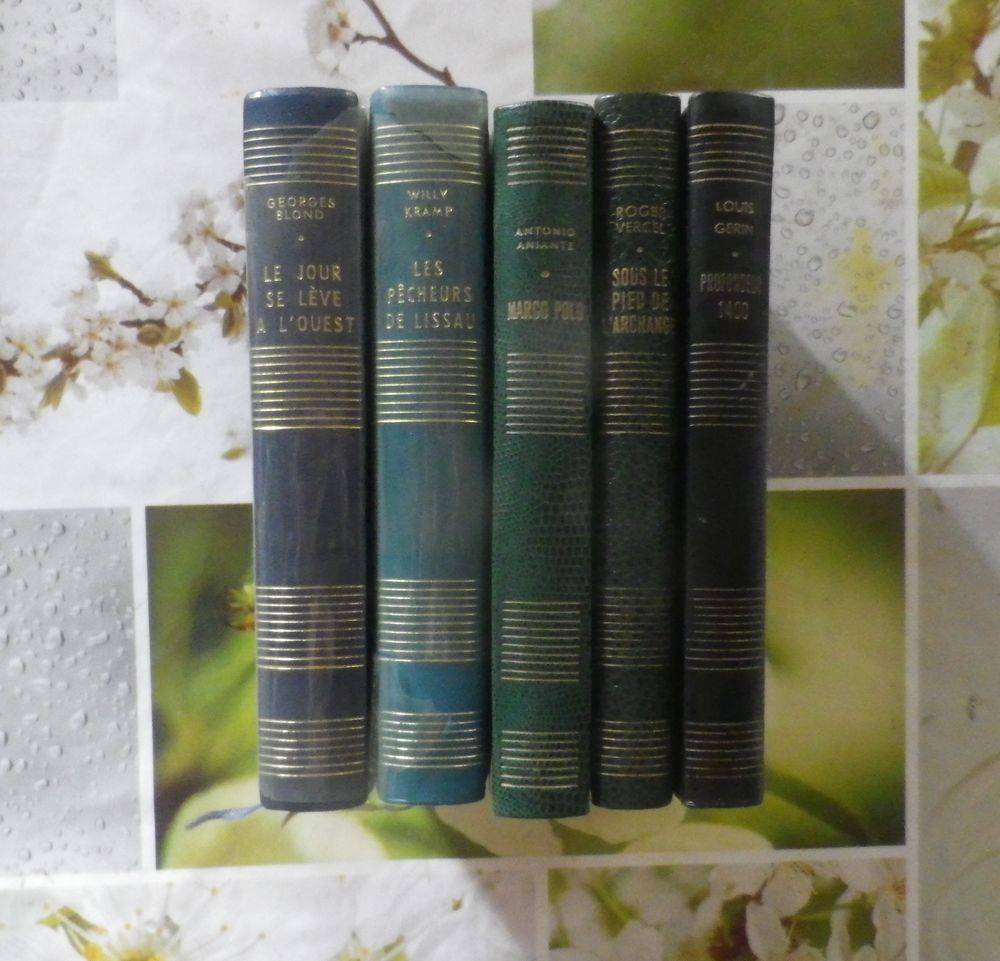 LOT DE 5 ROMANS RELIES (d�tails dans l'annonce) 12 Bubry (56)