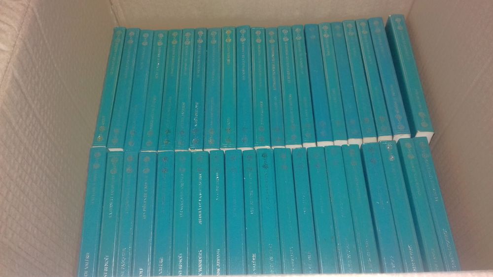 ROMANS A L'EAU DE ROSE 30 Bassens (73)