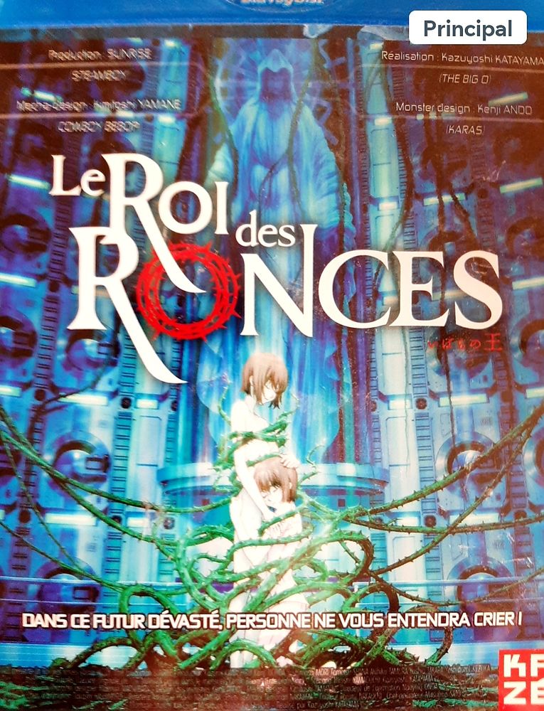 Le roi des ronces bluray 12 Ruitz (62)