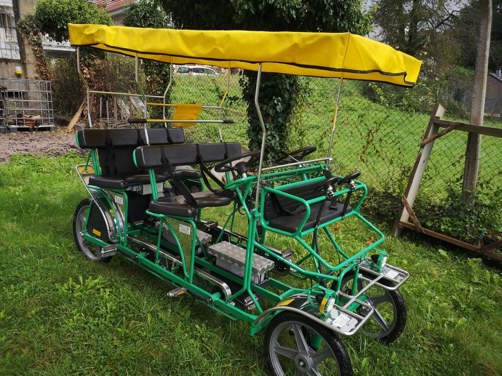 Rosalie Electrique 6 places + 2 enfants 5600 Vill� (67)