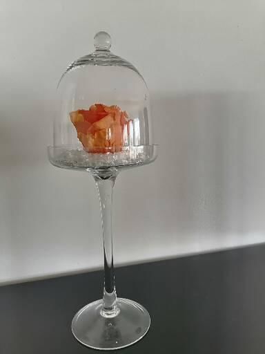 Rose eternelle 10 P�rols (34)