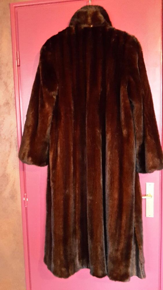 Royal vison femelle 5000 Villepreux (78)