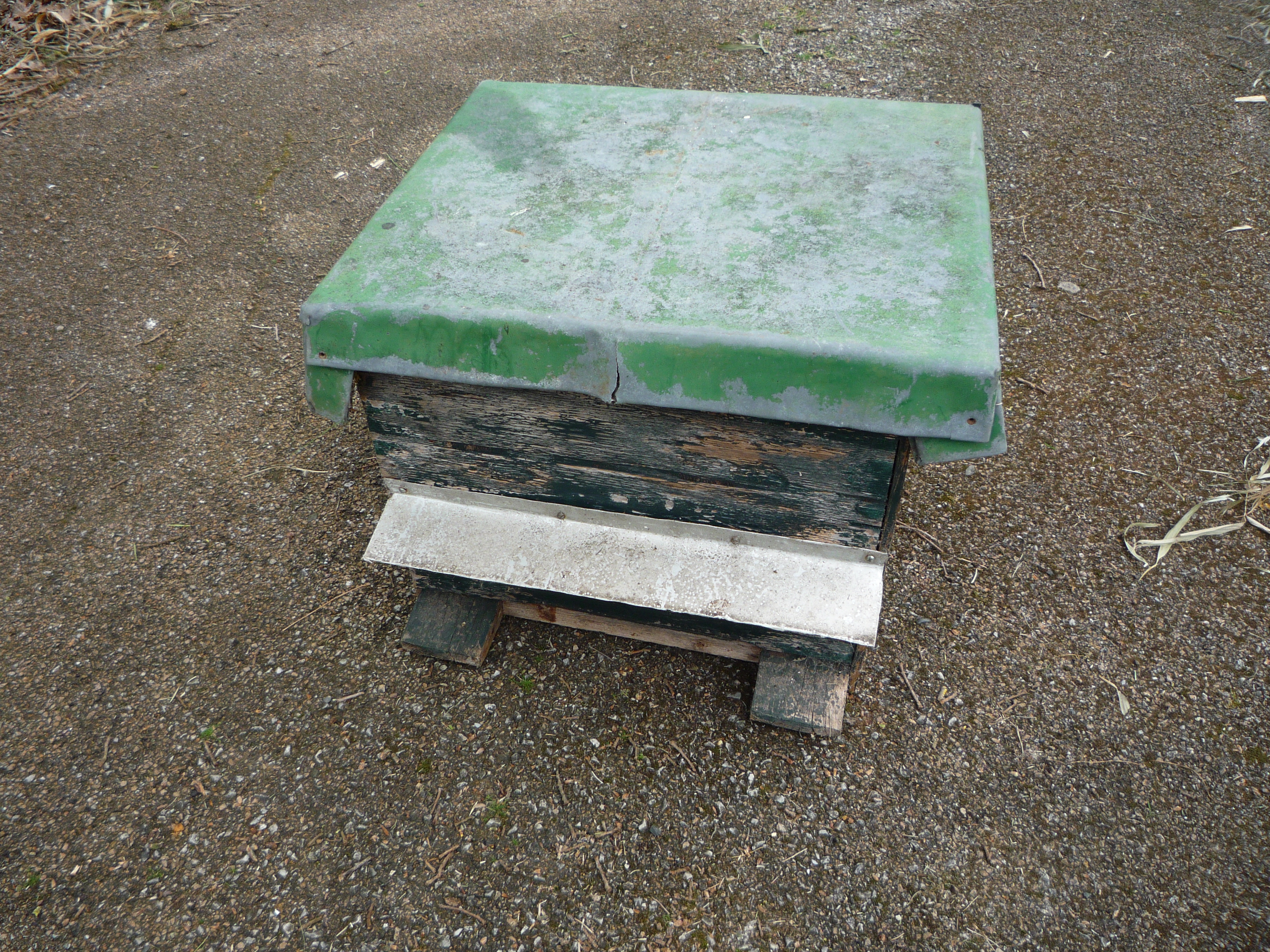 Ruche / apiculteur
35 Castres (81)