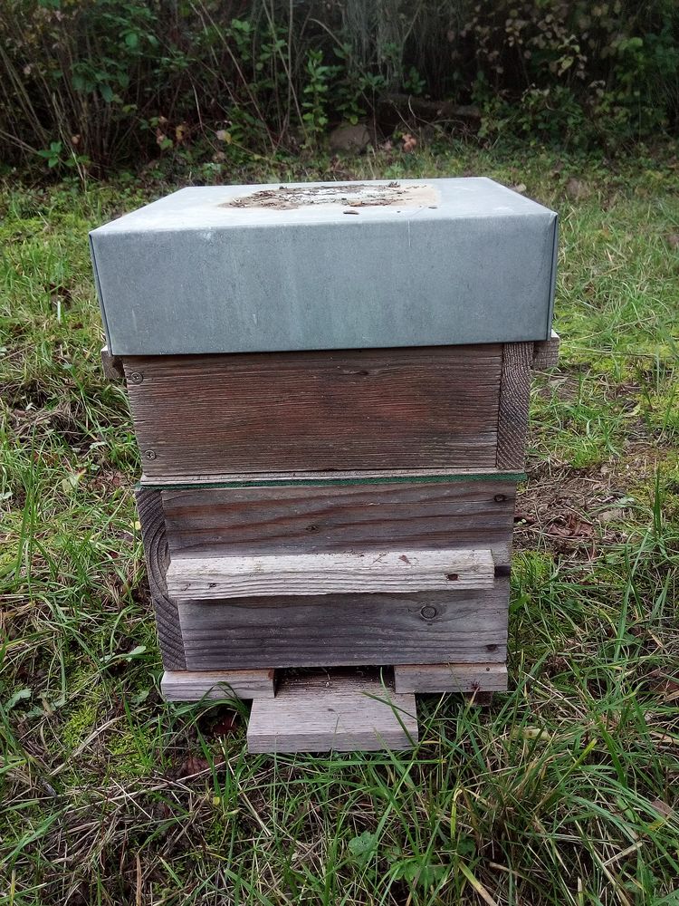 Ruches warre 80 Les Vans (07)