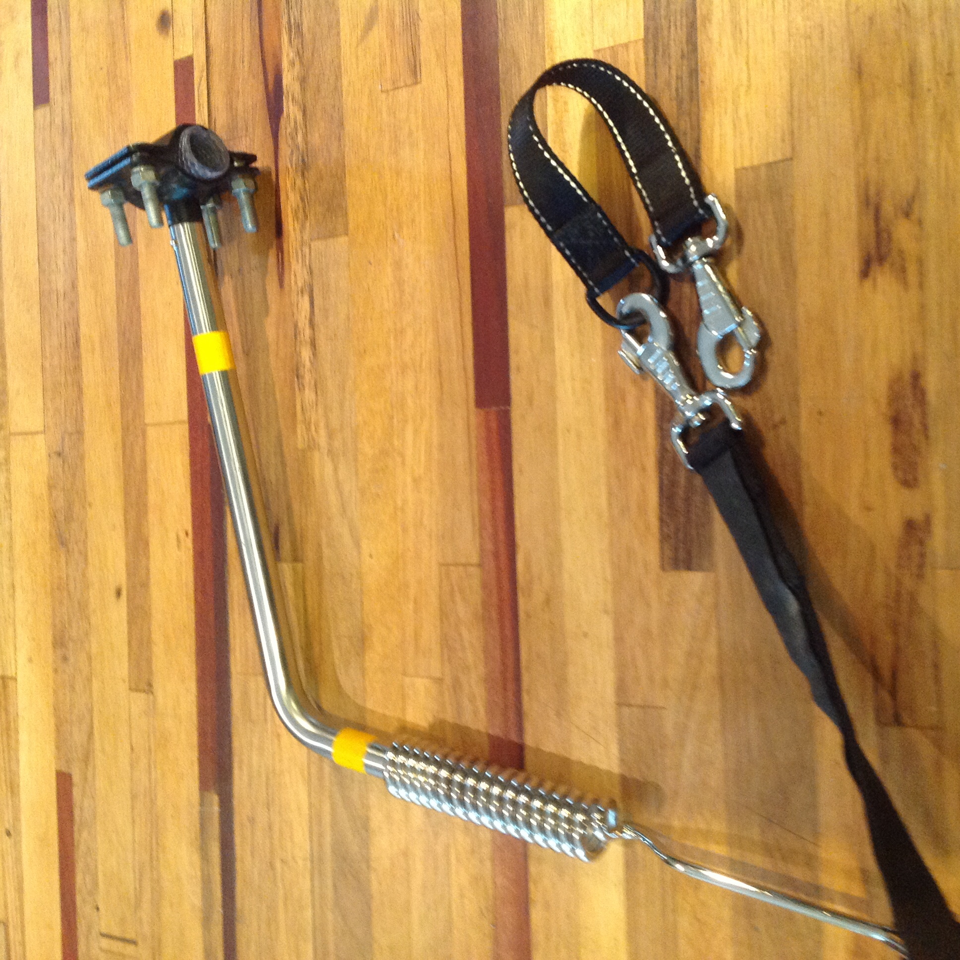 Dog runner 20 Saint-Laurent-sur-Gorre (87)