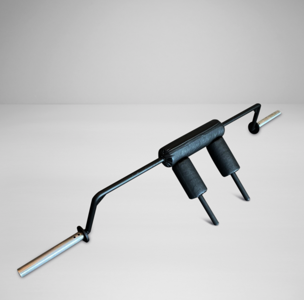 Safety Squat Bar Watson 400 Albertville (73)