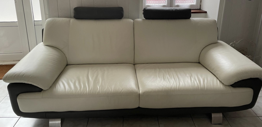 � saisir, canap� en cuir presque pas servi, �tat quasi neuf 249 Avranches (50)