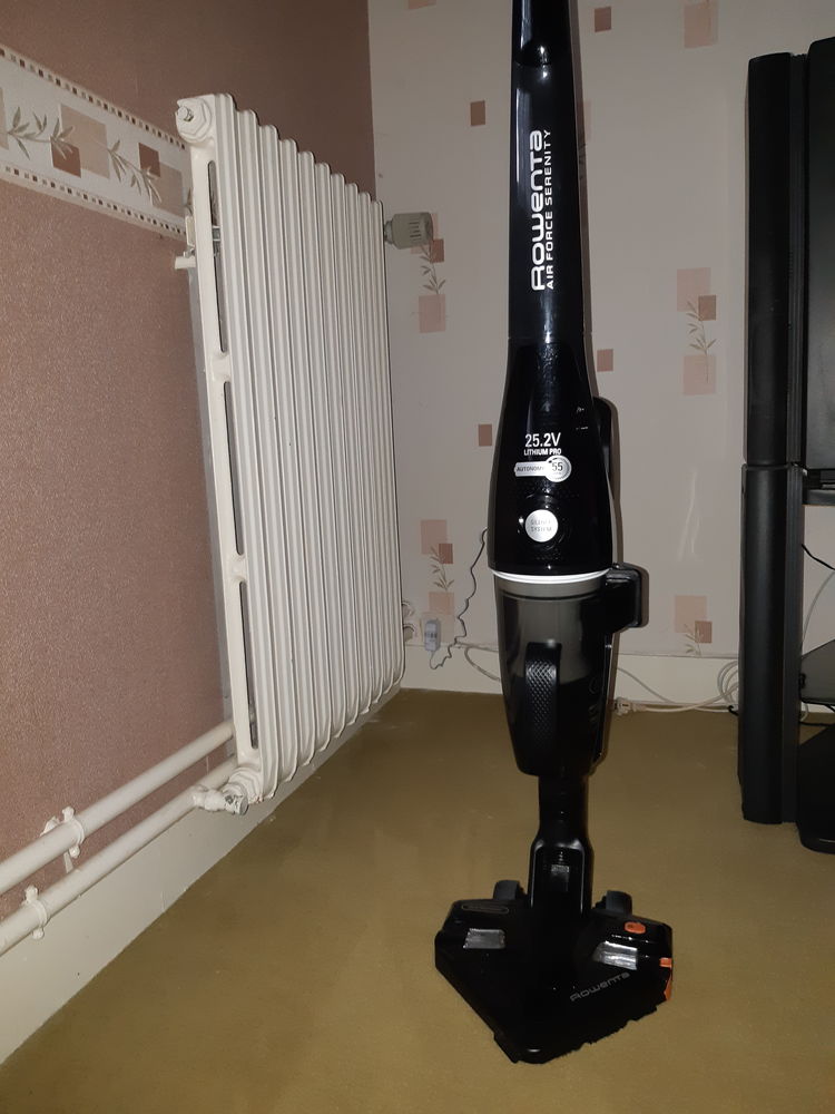 A saisir excellent aspirateur balai sans fil Rowenta 0 La Barre-en-Ouche (27)