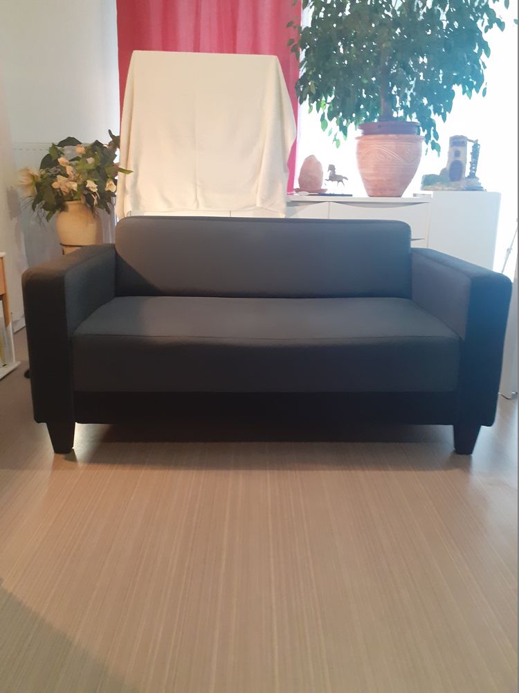 A SAISIR petit canap� 80 Royan (17)