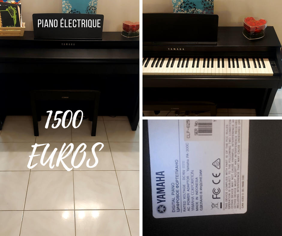 A SAISIR 1500 Goyave (97)