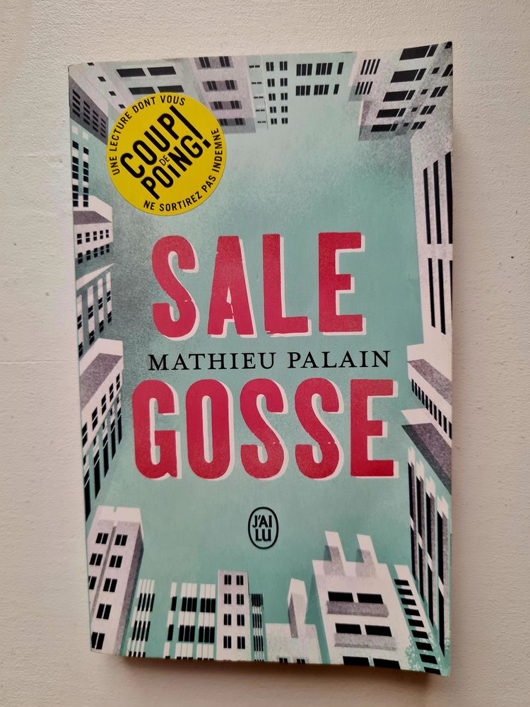 Sale gosse 3 Hy�res (83)