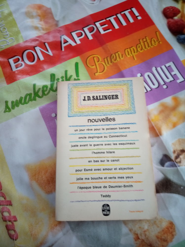 j.d sallinger nouvelles 2 Coulonges (17)