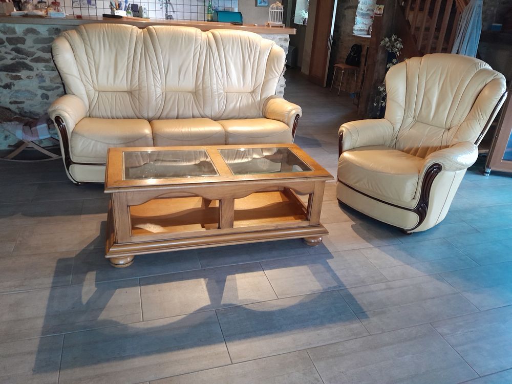 SALON CANAPE FAUTEUIL CUIR +  TABLE BOIS MASSIF 200 Gennes-sur-Glaize (53)