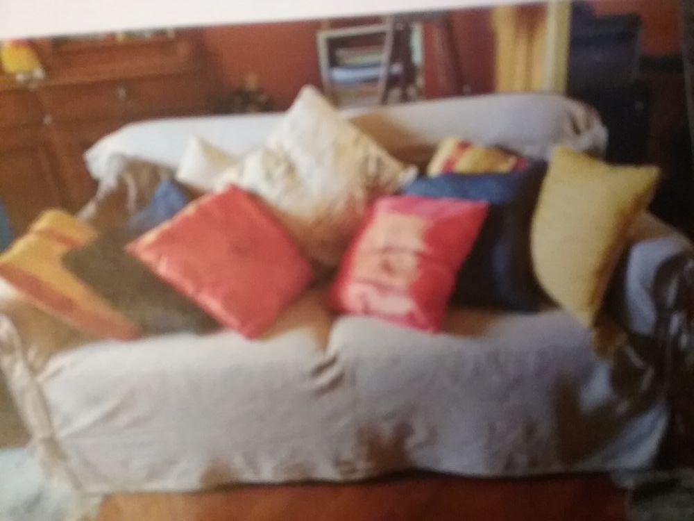 Salon 2  canap�s bon etat 260 Lyon 3 (69)