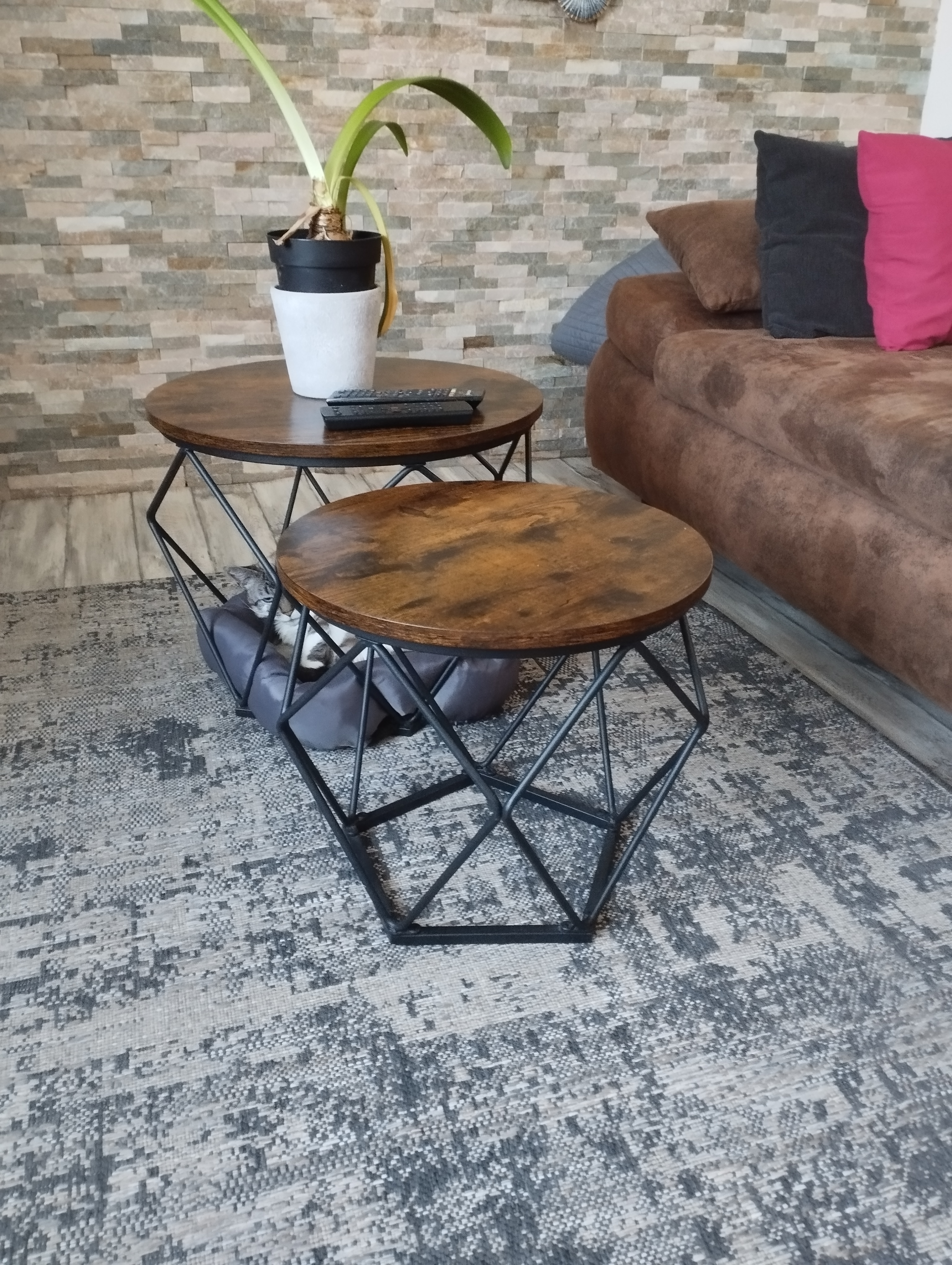 salon complet 1000 Challans (85)