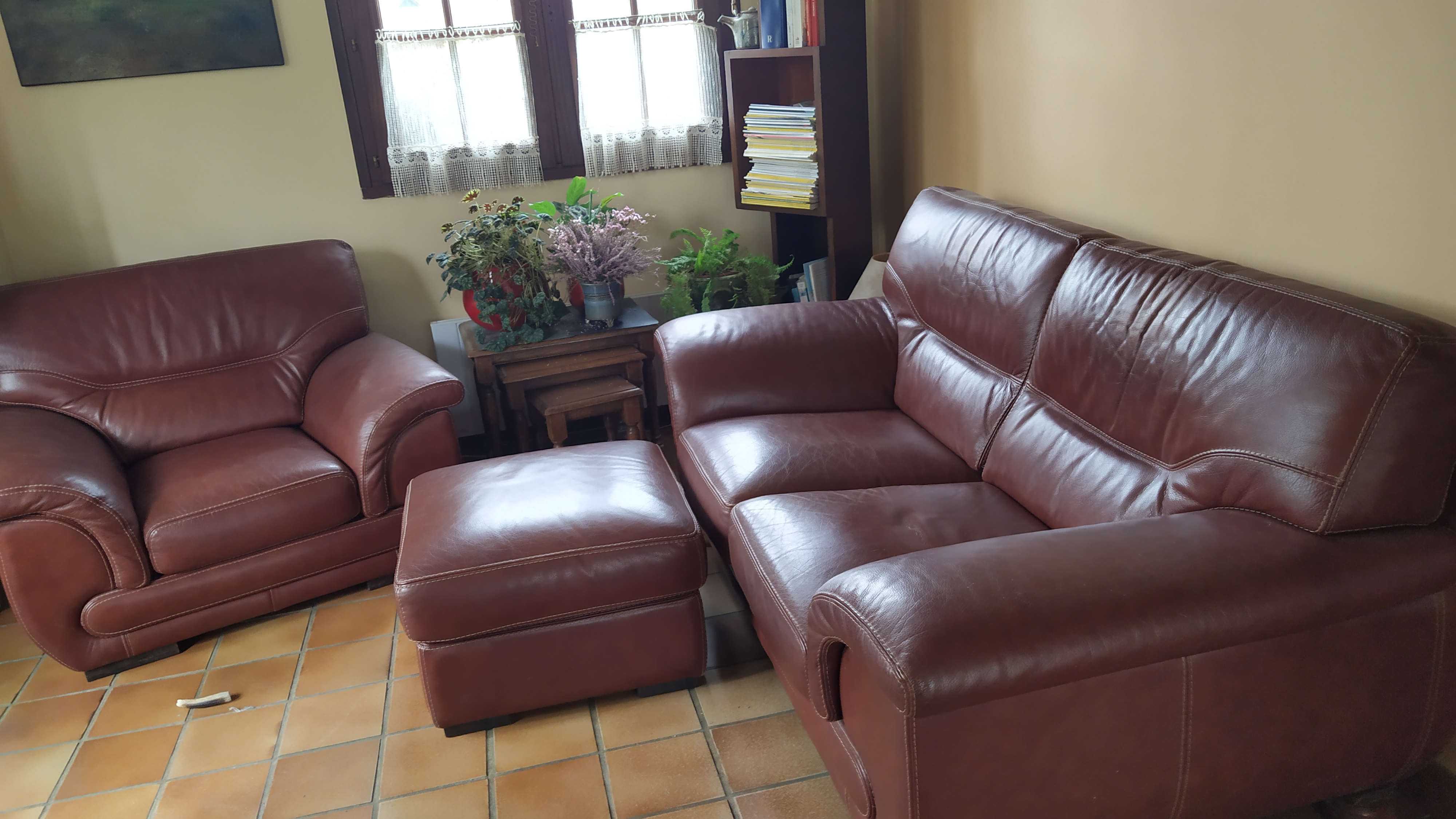 Salon en cuir de buffle : canap�  fauteuils et pouf 400 Nanteuil-l�s-Meaux (77)