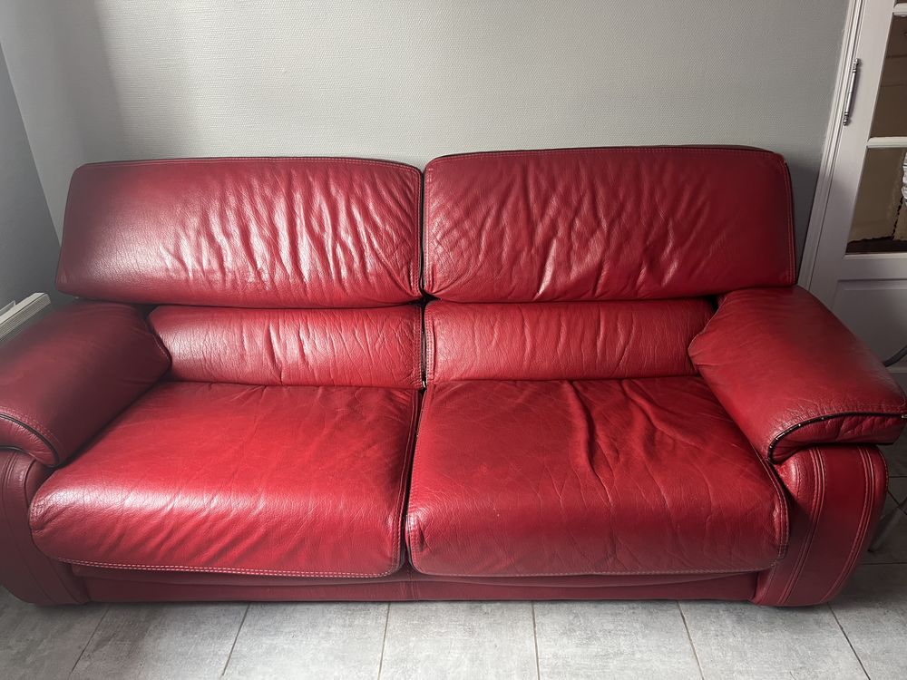 Salon cuir buffle 100 Haubourdin (59)