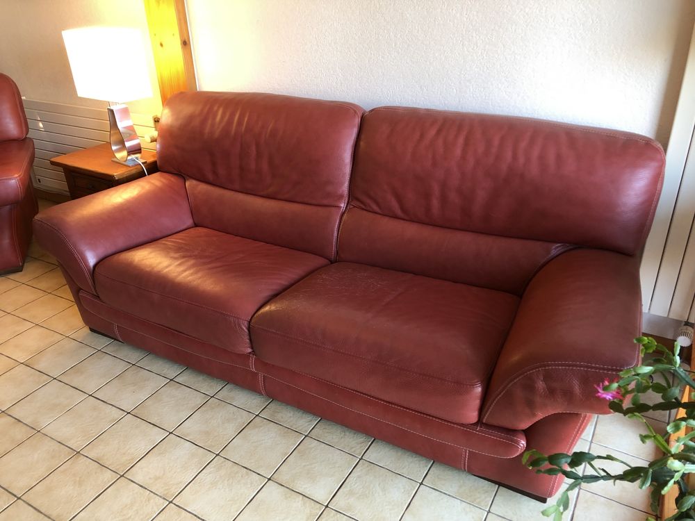 Salon cuir buffles 380 Poligny (39)