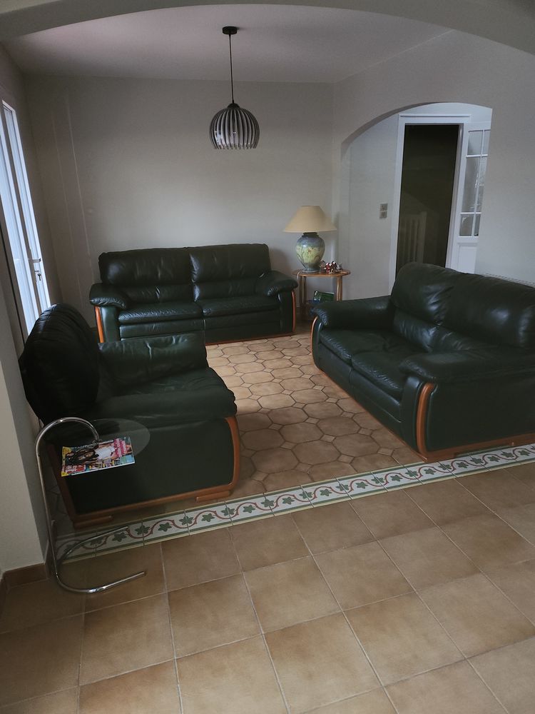 Salon cuir natuzzi vert fonc� 700 Saint-M�dard-en-Jalles (33)