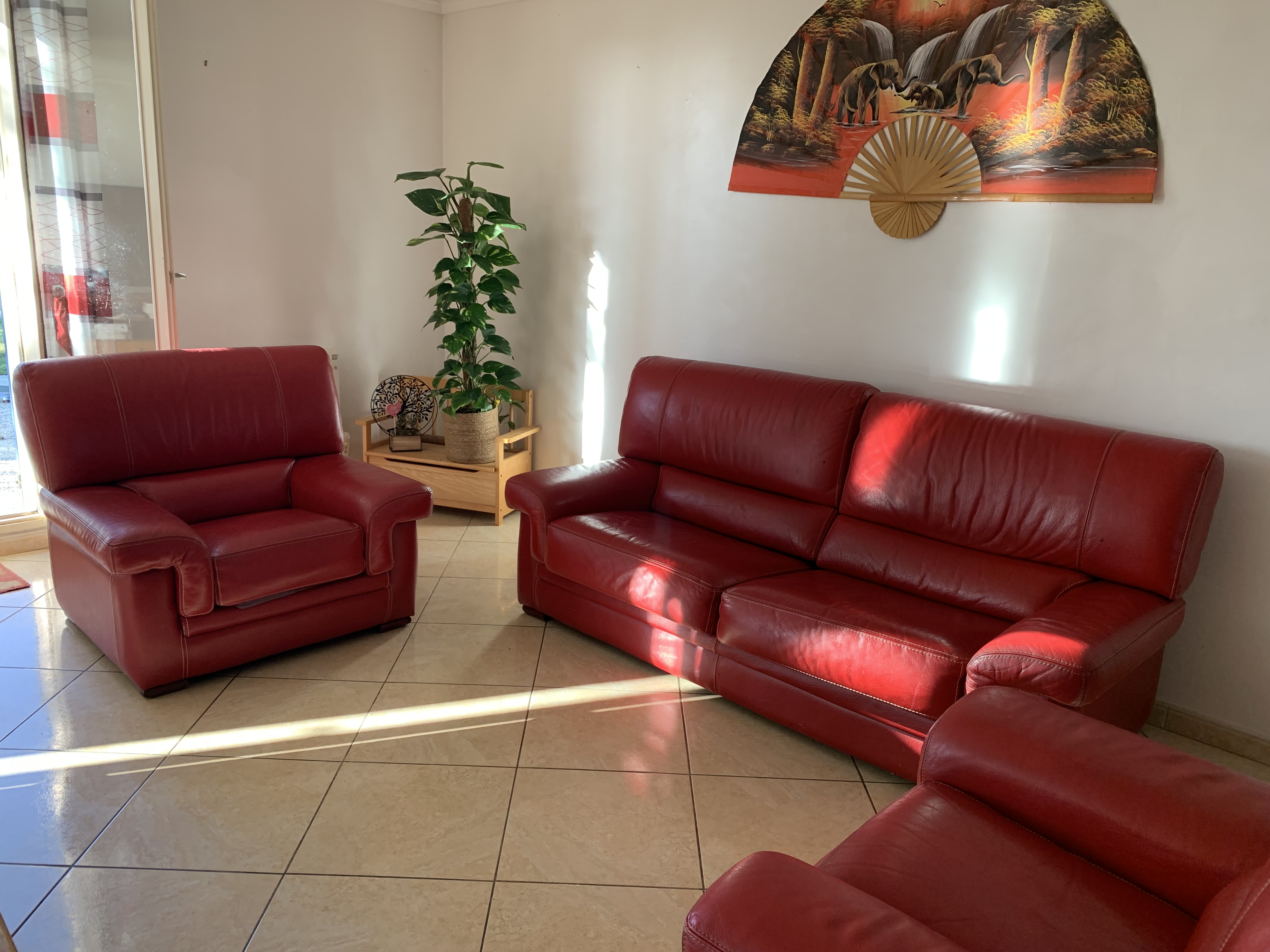 Salon cuir pleine fleur rouge 300 Denonville (28)