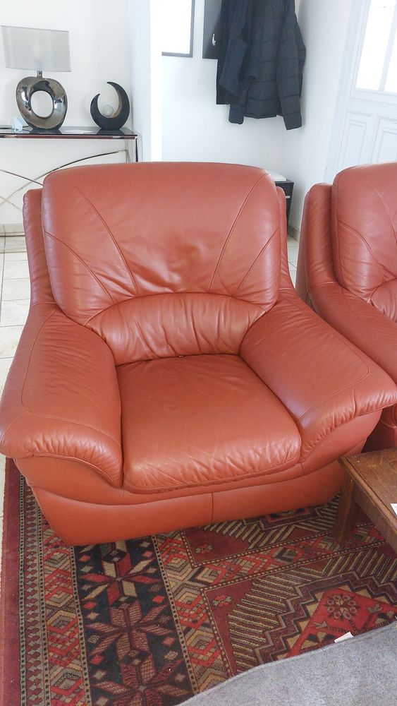 un salon en cuir en tr�s bon �tat 250 Vendeuvre-du-Poitou (86)