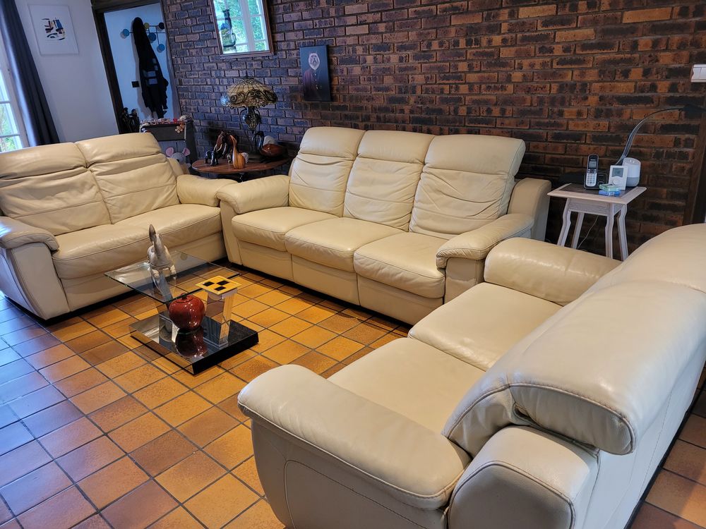 Salon en cuir vachette 
500 Linas (91)