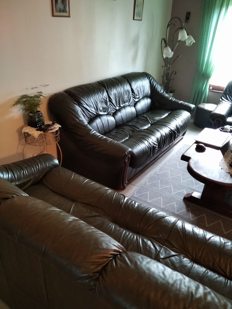 salon en cuir vert fonc� 0 Hasnon (59)