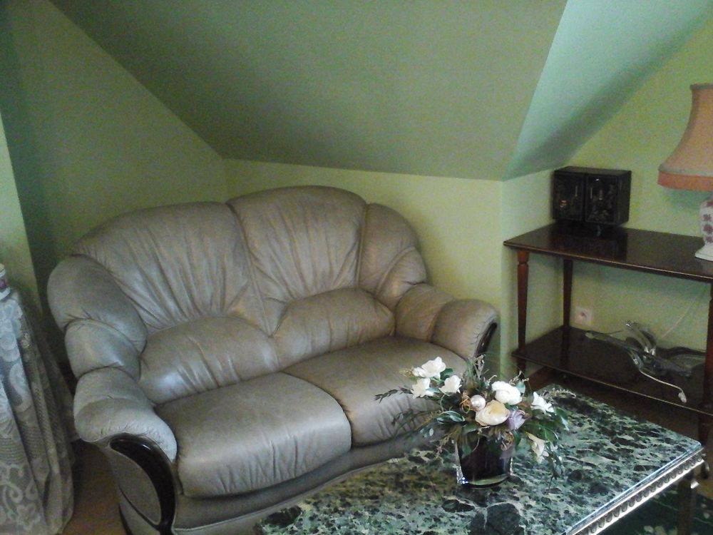 
salon en cuir vert  complet
450 Camiers (62)