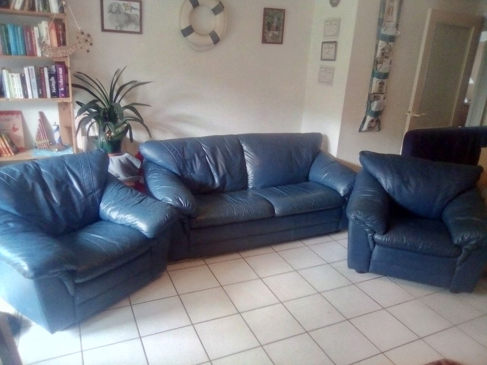 Salon en cuir 400 Pl�rin (22)
