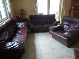 salon en cuir 75 Salles-sous-Bois (26)