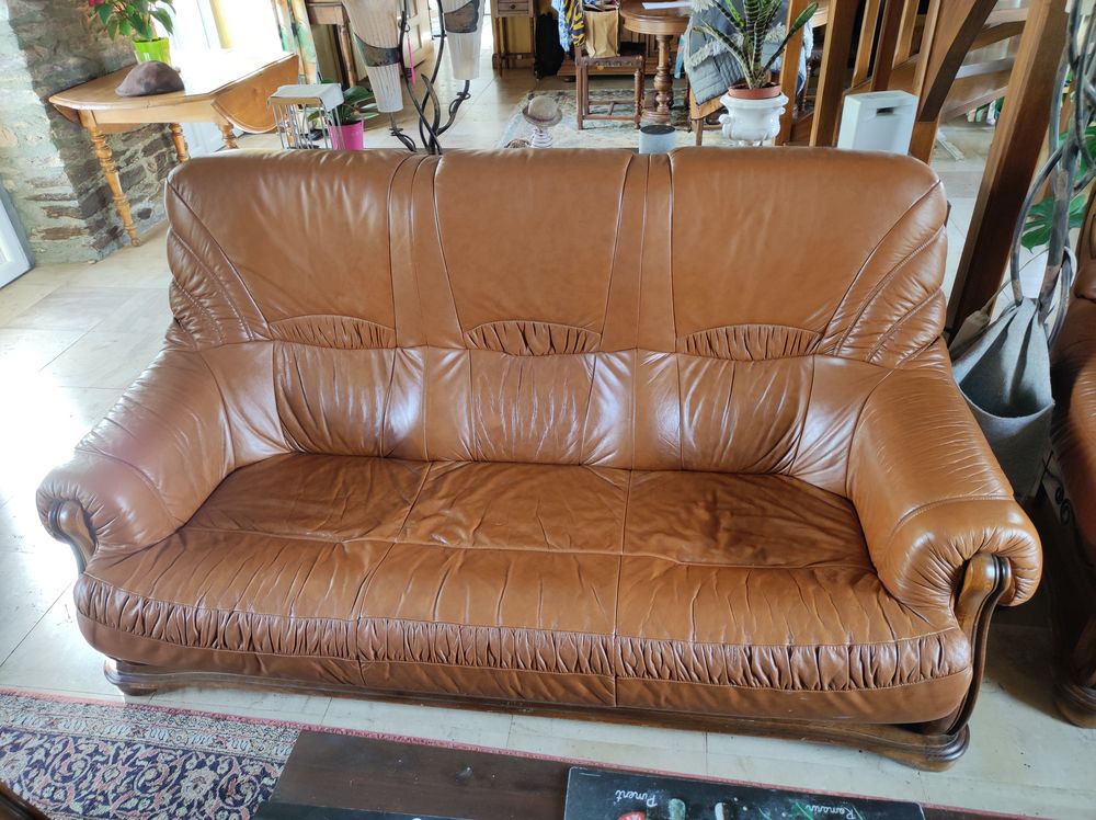 salon en cuir 300 Saint-Malo-de-Beignon (56)