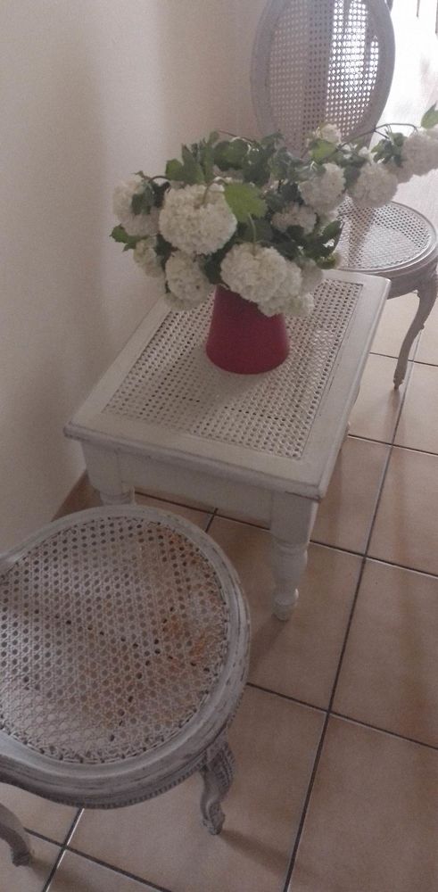 SALON A RENOVER 60 Vrigne-aux-Bois (08)