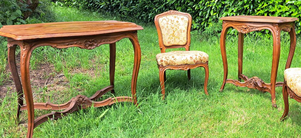 Salon style Louis XV 1000 Erckartswiller (67)