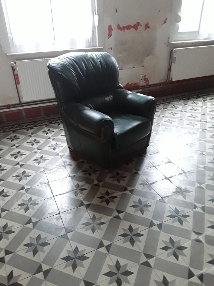 salon vert cuire 200 Anneux (59)