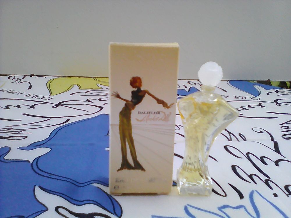 SALVADOR DALI 6 Trouy (18)