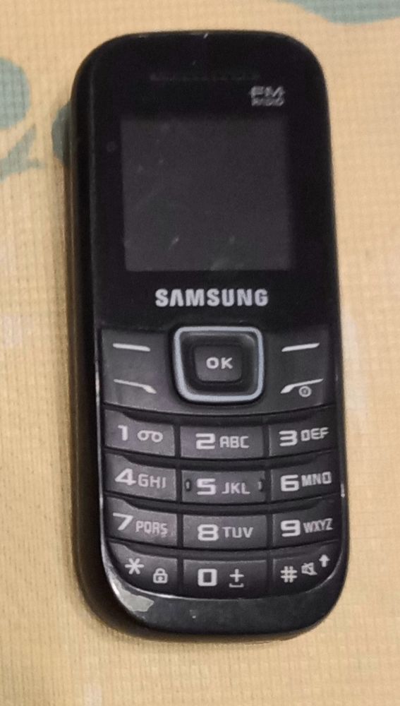 Samsung GT-E1205Y 15 Perceneige (89)