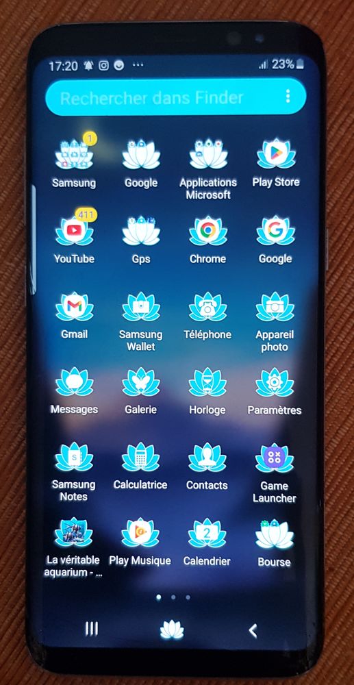 Samsung S8 130 Reignac (33)