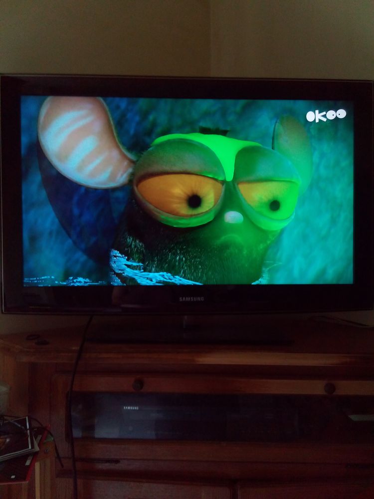 TV Samsung 800 Nantes (44)