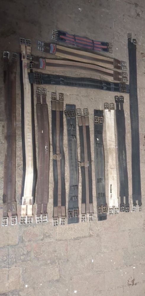 Sangles tissu et cuir toutes tailles 5 Auxerre (89)