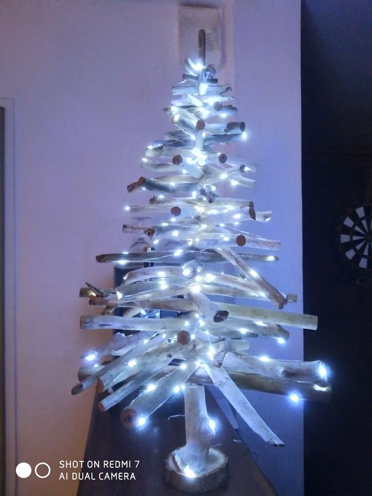 SAPIN BOIS FLOTTE 0 Boissy-sous-Saint-Yon (91)