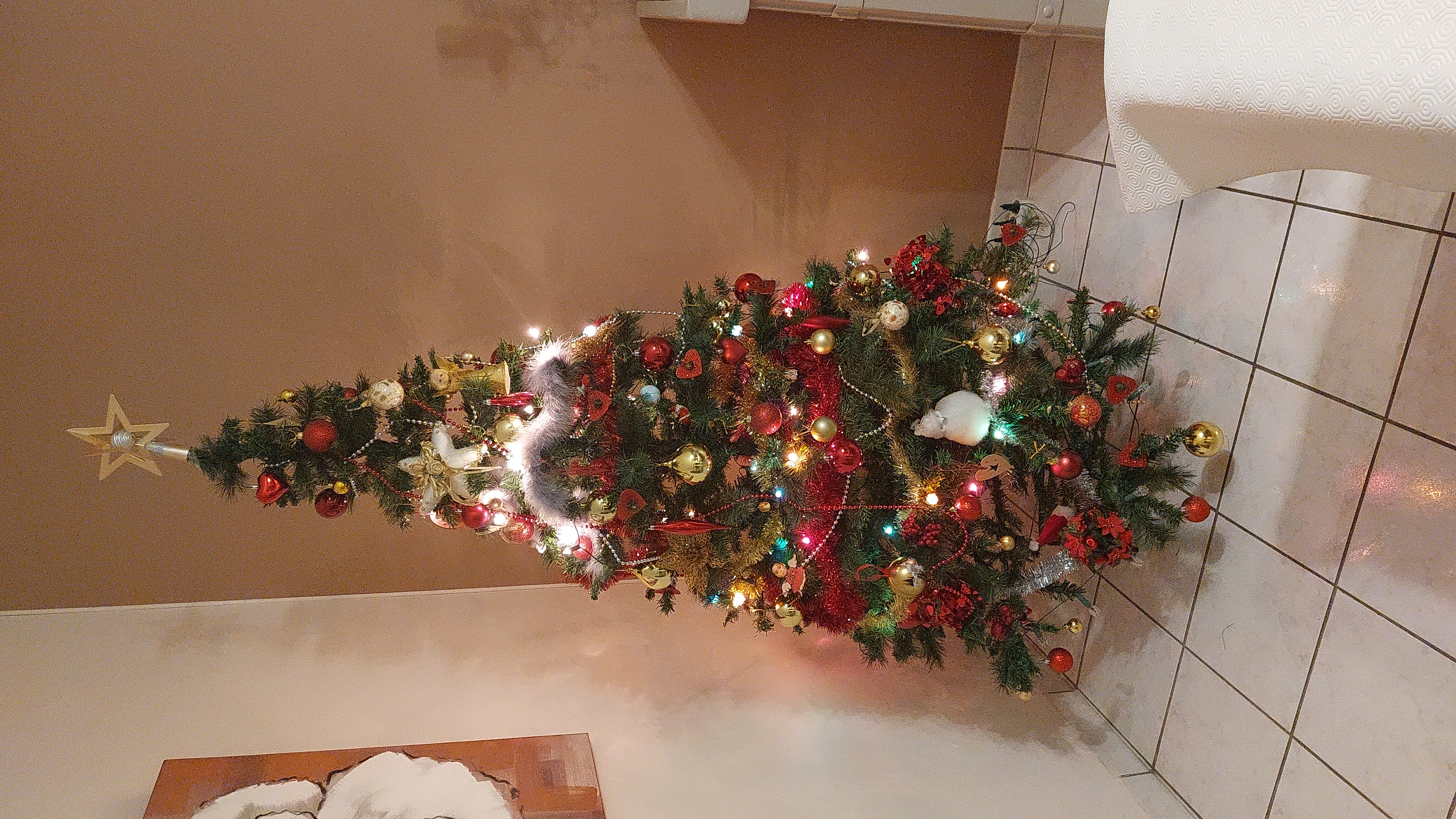 Sapin de No�l avec pied pliable 0 Amiens (80)